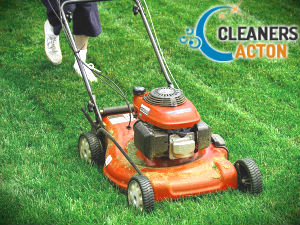 lawn-mowing-acton